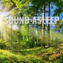 Elijah Wagner - Dreamlike Midday Forest Ambience Pt 14