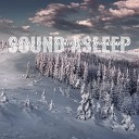 Elijah Wagner - Calming Frozen Tundra Wind Soundscape Pt 12