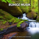 Meditationsmusik Entspannungsmusik… - Wellness Musik im Nebel