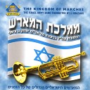 IDF Orchestra - Unknown