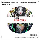 Deepest AMHouse Feat Erbil Dzemoski - For You