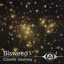 Bisweed - Takeoff