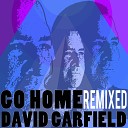 David Garfield feat Kirk Whalum Paul Jackson Jr Tim Welvaars Greg… - Go Home Alternate Mix