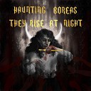 Haunting Boreas - They Rise at Night