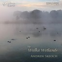 Andrew Skeoch - Pacific Black Ducks