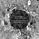 Sergey Levitskiy - Abracadabra Dmitry Molosh Remix