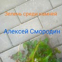 Алексей Смородин - Зелень среди камней