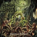 Nephilim Grinder - Surgical Worship
