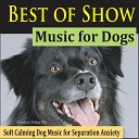 Shenkoo Yekoo Sky - Havanese Heaven Music for Dogs