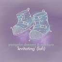 Pangolin Dreams Odokuro JazzyRiko - Levitating lofi Version