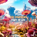 The Symphony - A Part Of Life Extended Mix
