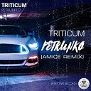 TRITICUM - Petrunko Amice Remix HARD