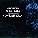 Coppice Halifax - Pacific Opal Hex