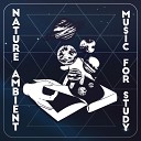 Nature Sounds Universe Study Ambient Club - Work Music for Concentration