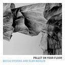 Elan Mehler feat Becca Stevens - Make Me a Pallet on Your Floor