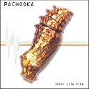 Pachooka - Alva Dub