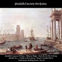 Pachelbel Society Orchestra - Andante for String Orchestra Op 2 No 6 Il Tempo dei…