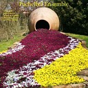 Pachelbel Ensemble - Variations on a series of 4 notes No 2 in C Major Op…