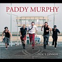 Paddy Murphy - The Ferryman