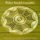 Walter Rinaldi Ensemble - Raggio