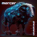 Mercer - Method 2 Devil Has Fun