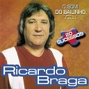 Ricardo Braga - Minhas Coisas