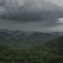 The Tropical Rainy Season - Time Is Running Out Unnoticed
