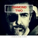 Diamond Two - Pigs on the Wing Mother Acoustic