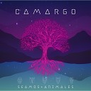 Camargo - Todo va a estar bien Estudio