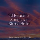 Deep Sleep Music Delta Binaural 432 Hz Relaxing Mindfulness Meditation Relaxation Maestro Rain Sounds… - Sleepy Head