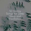 Lullaby Babies Ambient Forest Tonal Meditation… - Asleep in the Deep