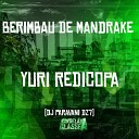 Yuri Redicopa DJ Paravani Dz7 - Berimbau de Mandrake