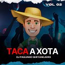 Paulinho Sertanejeiro - Taca Xota