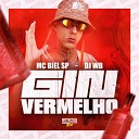 MC Biel SP DJ WB - Gin Vermelho