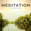 Sonidos de Armon a Schola Camerata - Meditation In Nature