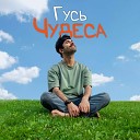 Гусь - Чудеса