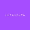 PALMPLAYA - Project pat dont givefuck