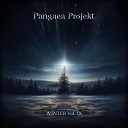 Pangaea Projekt - Starry Night