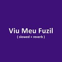 DJ Bruninho 17 MC Neguinho do Morro - Viu Meu Fuzil Slowed Reverb