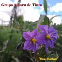 Grupo Amaru de Tinta - Azangarino