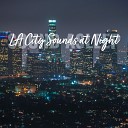 Elijah Wagner - Los Angeles City Sounds at Night Pt 2