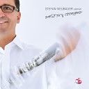Stefan Neubauer - Allegro Ma Non Troppo