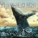Laci DJ - The Song of the Whale