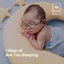 Nursery Rhymes - 1 Hour of Are You Sleeping Pt 22