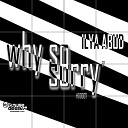 Ilya Abud - Why So Sorry Original Mix
