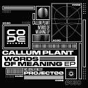 Callum Plant - Alprazolam Project00 Remix