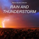 Rain Sounds Nature Sounds Rain Sounds Nature Collection Forest… - Nature Sounds Rain and Thunderstorm Pt 23