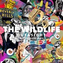 Outasight - The Wild Life Mister Freeze Remix