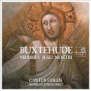 Cantus Colln Konrad Jungh nel - Membra Jesu Nostri BuxWV 75 VI Ad cor Vulnerasti cor…