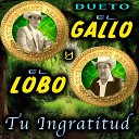 Dueto El Gallo Y El Lobo - Ay Amigo
